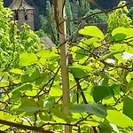 & Les Loges Du Capucin * Kaysersberg-Vignoble